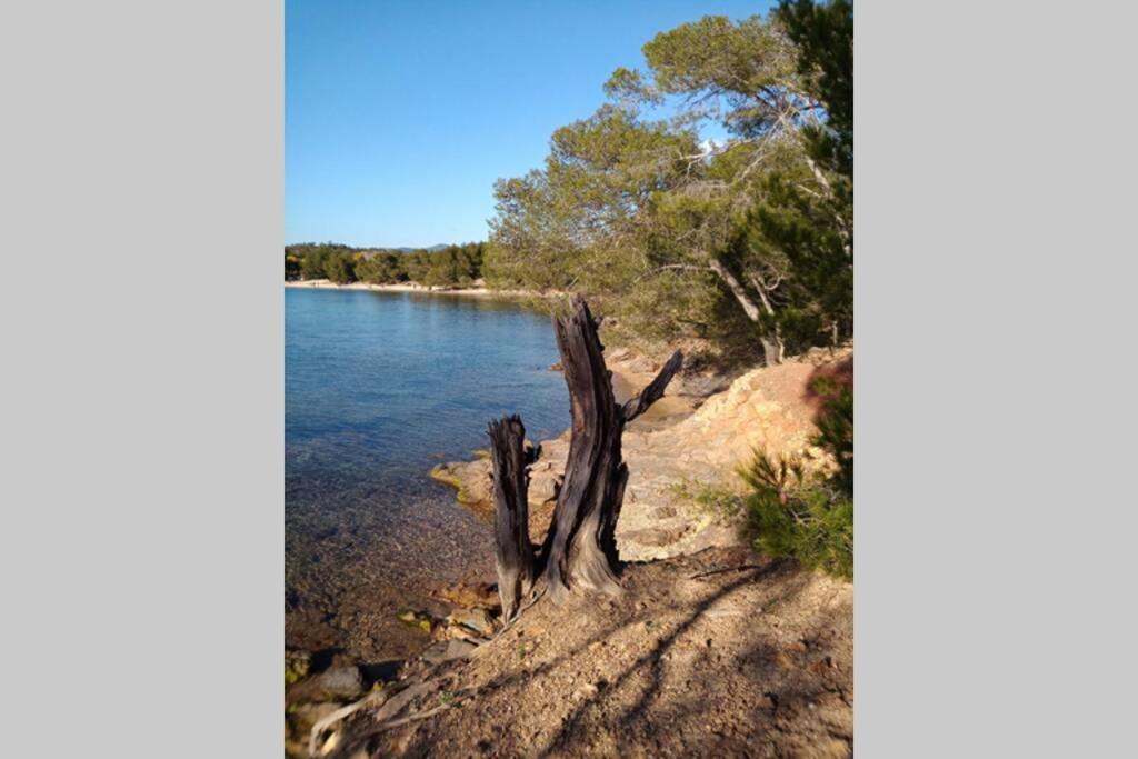 Face Mer Entre Plage Et Marina Bormes-les-Mimosas Exterior foto