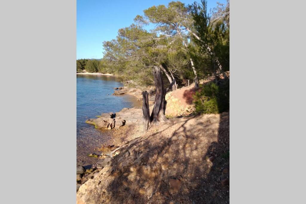 Face Mer Entre Plage Et Marina Bormes-les-Mimosas Exterior foto